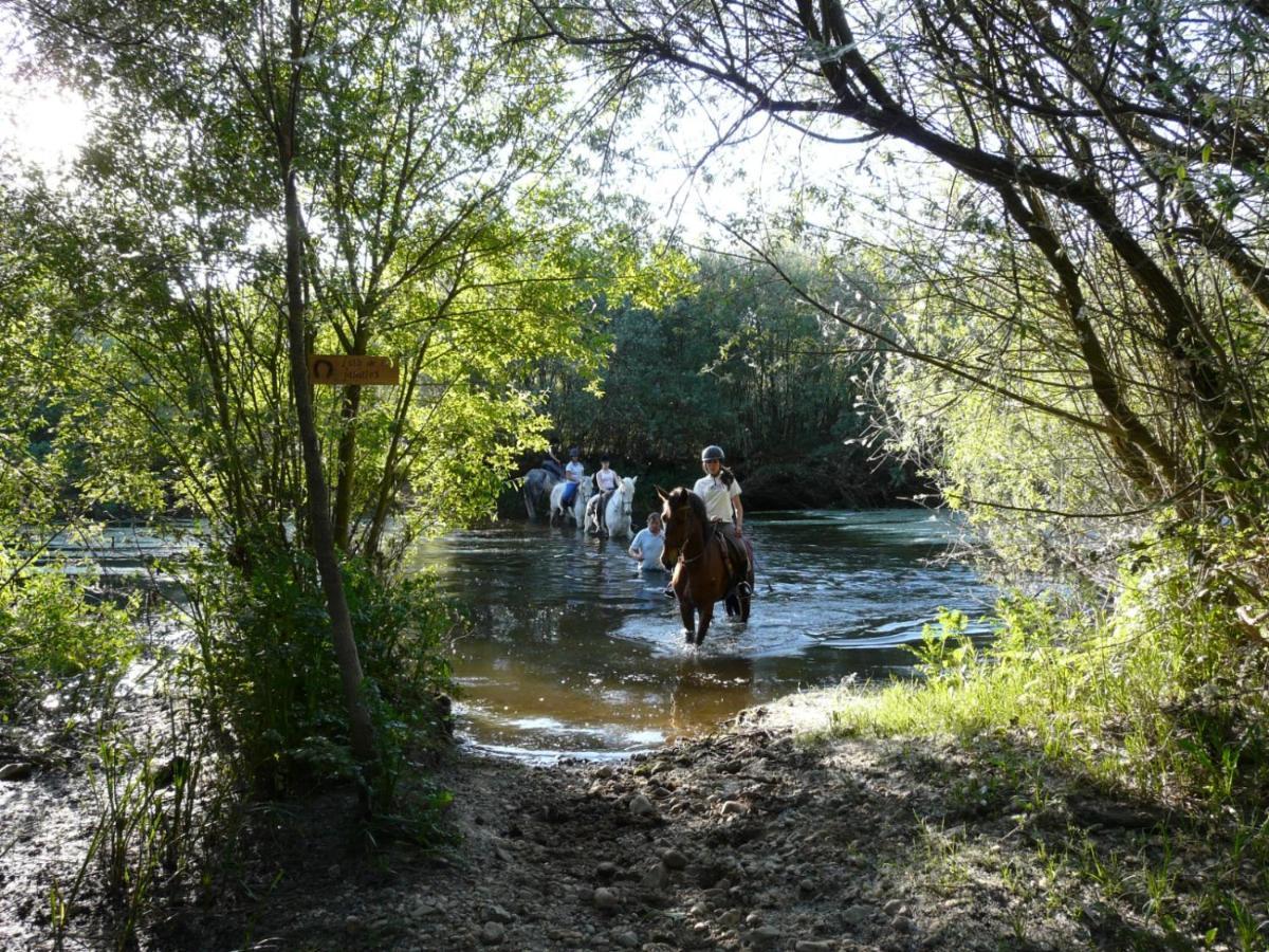 Complejo Oasis Beach Sobre El Rio Huerta  Exteriör bild